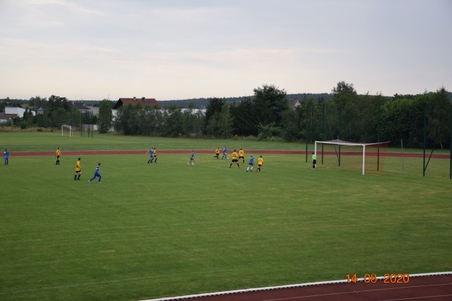 plewis 28